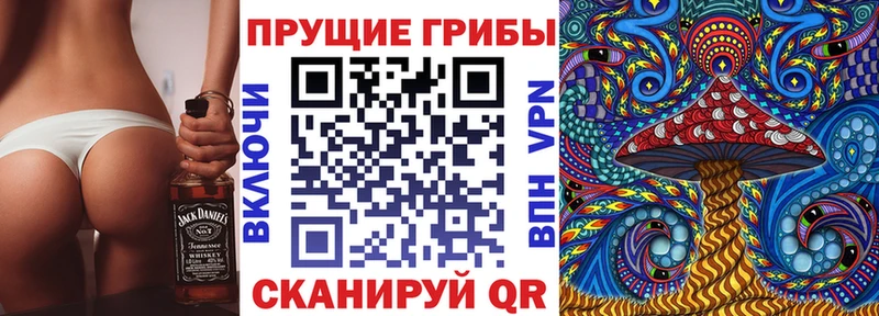 наркошоп  Омутнинск  Псилоцибиновые грибы Psilocybine cubensis 